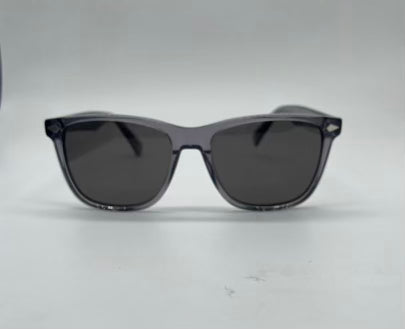 Coastal Shades 903 Polarized Sunglasses