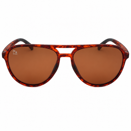 Shore Bound | Tortoise & Brown Polarized Aviators